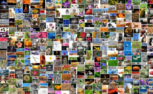 Digitale Bilder